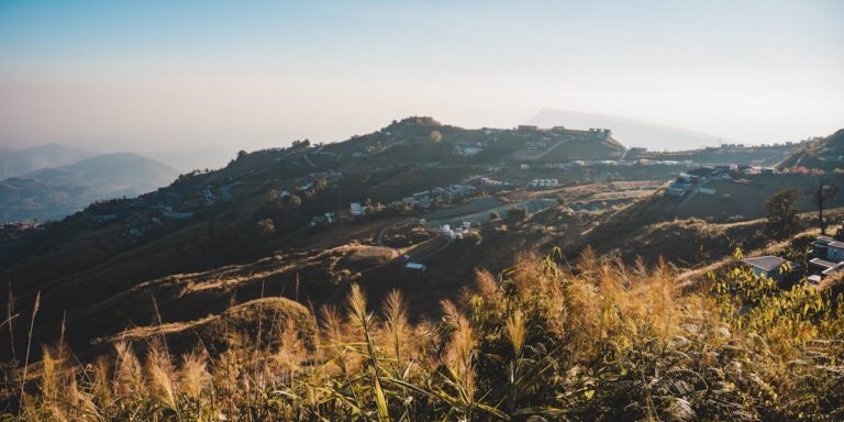 casamento nascer do sol