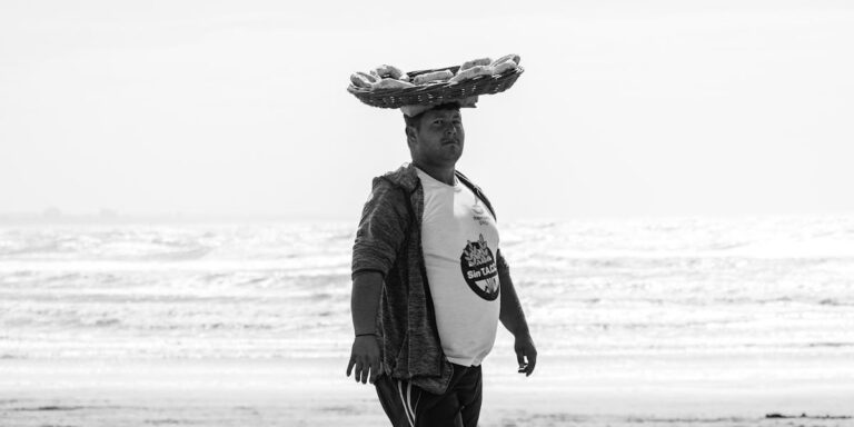 casamento sandy lucas lima